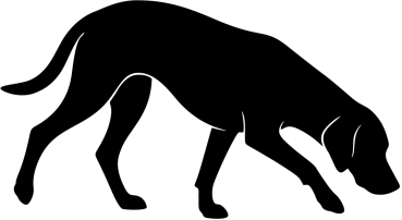 Magyar Viszla stehend Silhouette