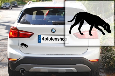 Preview: Autoaufkleber Magyar Vizsla stehend Silhouette