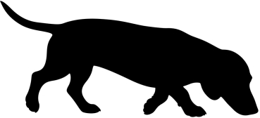 Kurzhaarteckel stehend Silhouette