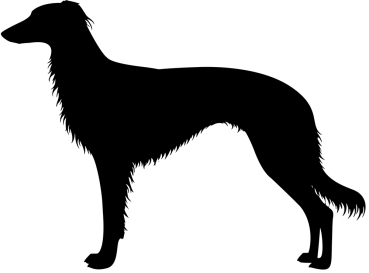 Silken Windsprite stehend Silhouette