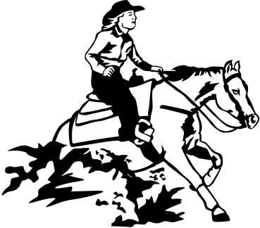Aufkleber Westernreiten Reining