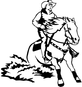 Aufkleber Westernreiten Reining