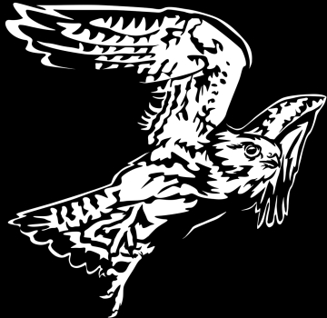 Aufkleber Falke - Wanderfalke im Flug *für dunkle Hintergründe