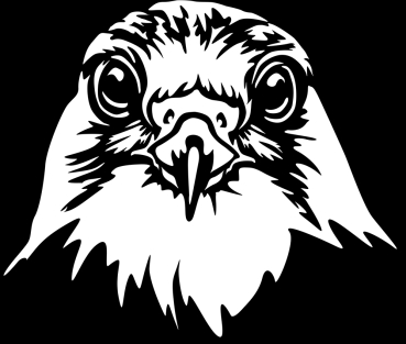 Aufkleber Falke - Merlin Kopf *für dunkle Hintergründe