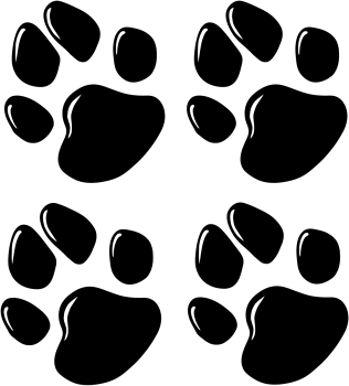 Aufkleber Pfoten A4 Bogen
