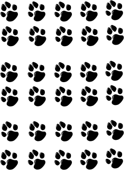 Preview: Aufkleber Pfoten A4 Bogen