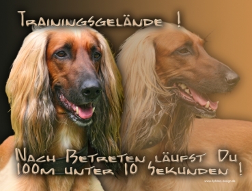 Hundewarnschild Afghane #1