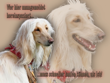 Hundewarnschild Afghane #5