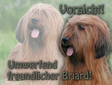 Hundewarnschild Briard (Berger de Brie) #5