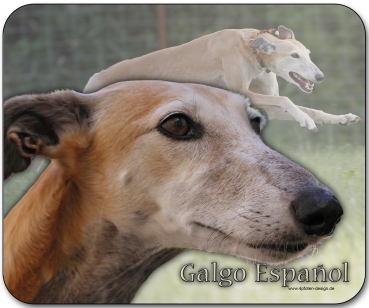 Mousepad Galgo español (Spanischer Windhund) #9
