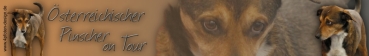 Autoaufkleber Österreichischer Pinscher