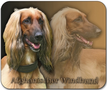 Mousepad Afghane (Afghanischer Windhund) #1