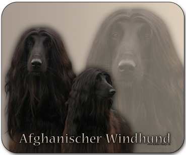 Mousepad Afghane (Afghanischer Windhund) #2