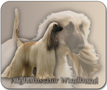 Mousepad Afghane (Afghanischer Windhund) #3