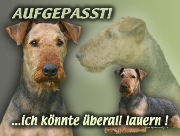 Hundewarnschild Airedale Terrier #2