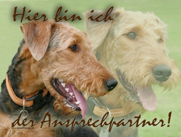 Hundewarnschild Airedale Terrier #5