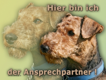 Hundewarnschild Airedale Terrier #8