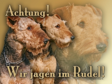 Hundewarnschild Airedale Terrier #10