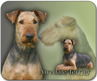 Mousepad Airedale Terrier #1