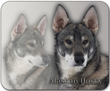 Mousepad Alaskan Husky #1