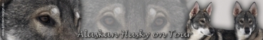 Aufkleber Alaskan Husky #1