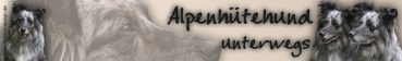 Autoaufkleber Alpenhütehund