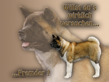 Hundewarnschild American Akita #1