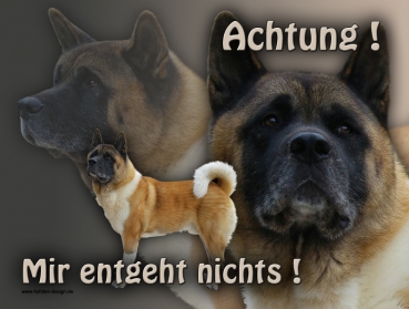 Hundewarnschild American Akita #3