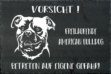 Schieferplatte American Bulldog