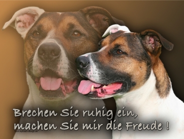 Hundewarnschild American Staffordshire Terrier #1