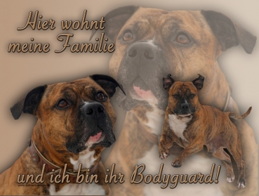 Hundewarnschild American Staffordshire Terrier #4