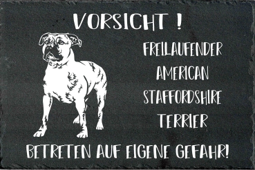Schieferplatte American Staffordshire Terrier