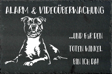 Schieferplatte American Staffordshire Terrier