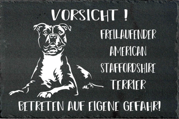 Schieferplatte American Staffordshire Terrier