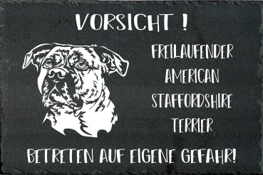 Schieferplatte American Staffordshire Terrier