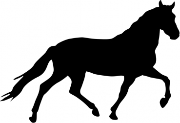 Aufkleber Pferd - Andalusier Silhouette