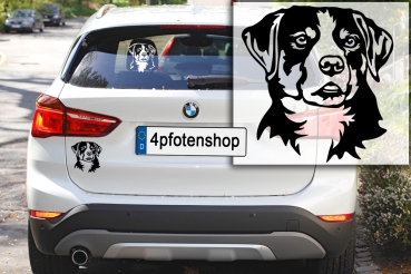 Autoaufkleber "Appenzeller Sennenhund" Kopf