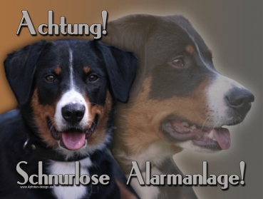 Hundewarnschild Appenzeller Sennenhund #1