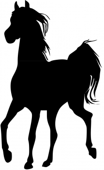 Aufkleber Pferd - Araber Silhouette