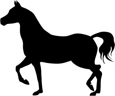 Aufkleber Pferd - Araber Silhouette