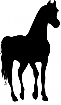 Aufkleber Pferd - Araber Silhouette