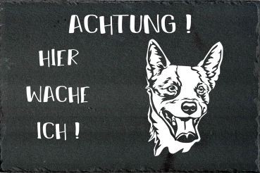 Schieferplatte Australian Cattle Dog