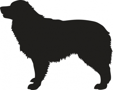 Autoaufkleber Australian Shepherd stehend Silhouette