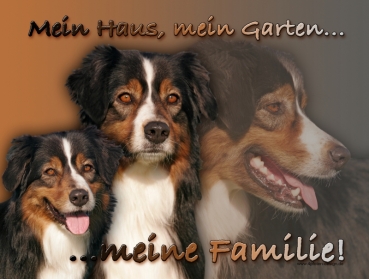 Aluminiumschild Australian Shepherd