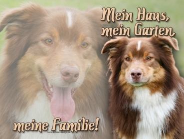 Hundewarnschild Australian Shepherd #15