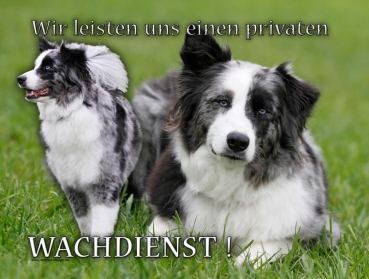 Hundewarnschild Australian Shepherd #17