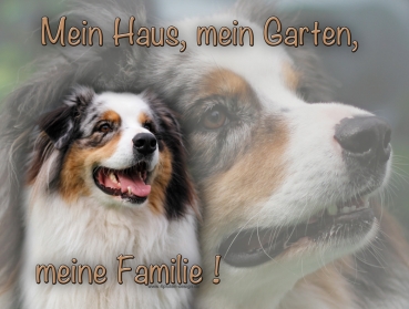 Hundewarnschild Australian Shepherd #18