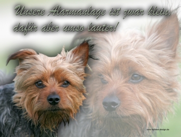 Hundewarnschild Australian Terrier #1