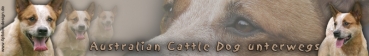 Aufkleber Australian Cattle Dog (Heeler) #2