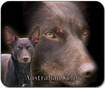 Mousepad Australian Kelpie #1